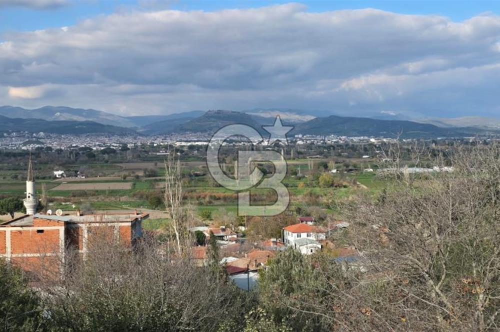 Bergama Sindel Mahallesinde Satılık Zeytinlik