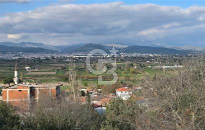 Bergama Sindel Mahallesinde Satılık Zeytinlik