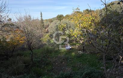 Gödencede inşaat ruhsatı alınmış hazır arsa