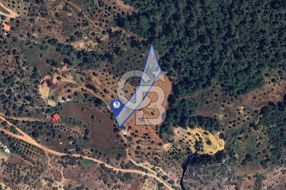 MUĞLA ZEYTİNKÖY'DE 2.178 M2 SATILIK TARLA