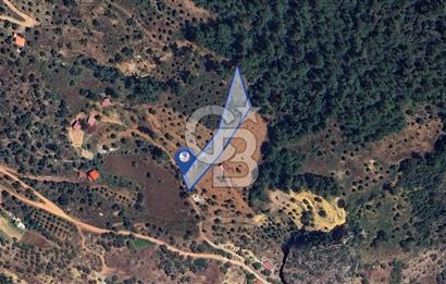 MUĞLA ZEYTİNKÖY'DE 2.178 M2 SATILIK TARLA