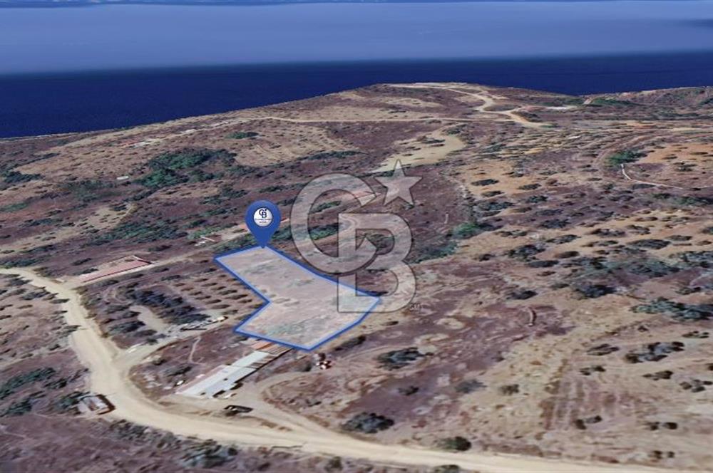 MUĞLA KIRAN'DA SATILIK AHŞAP EV VE TARLA