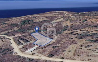 MUĞLA KIRAN'DA SATILIK AHŞAP EV VE TARLA