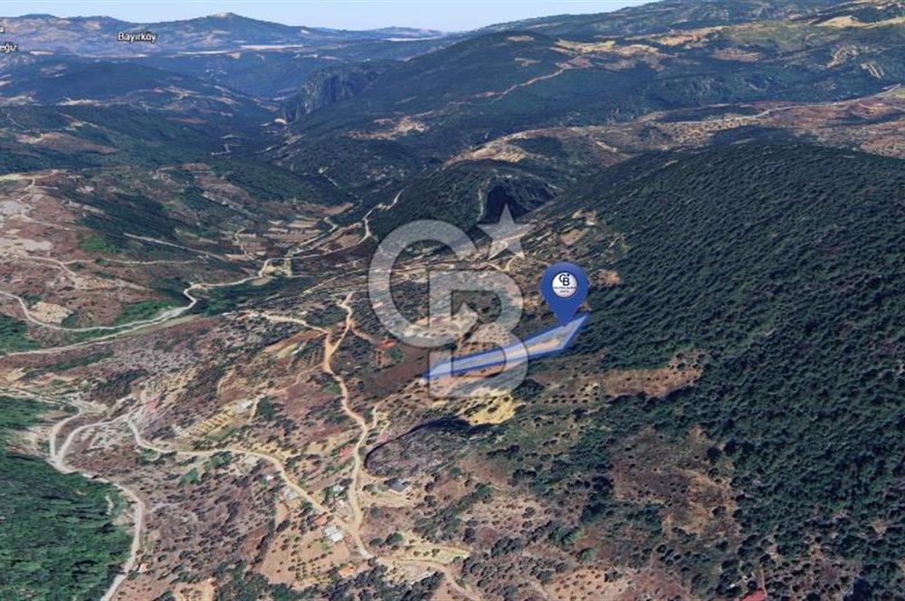 MUĞLA ZEYTİNKÖY'DE 2.178 M2 SATILIK TARLA