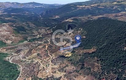 MUĞLA ZEYTİNKÖY'DE 2.178 M2 SATILIK TARLA