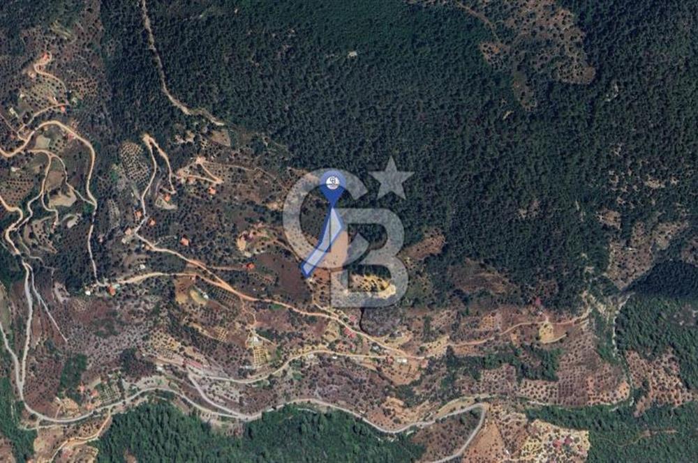 MUĞLA ZEYTİNKÖY'DE 2.178 M2 SATILIK TARLA