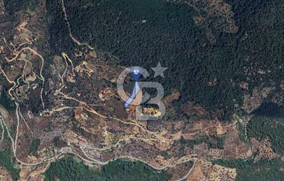 MUĞLA ZEYTİNKÖY'DE 2.178 M2 SATILIK TARLA