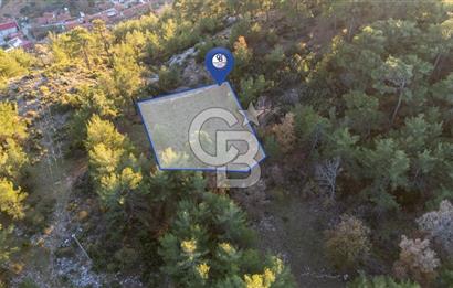 MUĞLA MENTEŞE KUYUCAK KÖYİÇİ İMARLI 1.000 M2 SATILIK