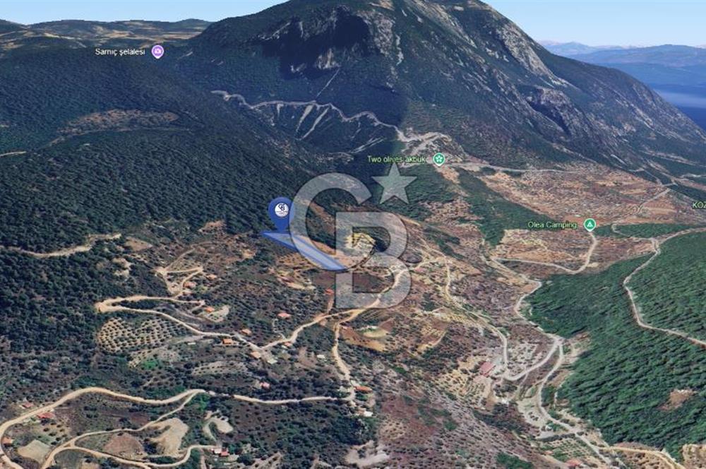 MUĞLA ZEYTİNKÖY'DE 2.178 M2 SATILIK TARLA