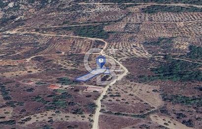 MUĞLA KIRAN'DA SATILIK AHŞAP EV VE TARLA