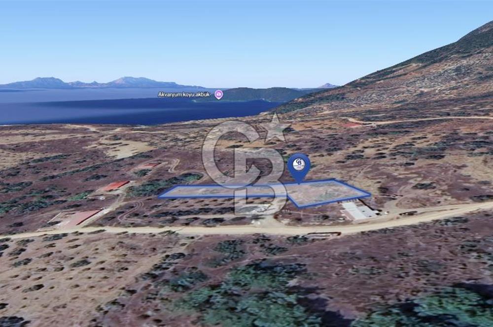 MUĞLA KIRAN'DA SATILIK AHŞAP EV VE TARLA