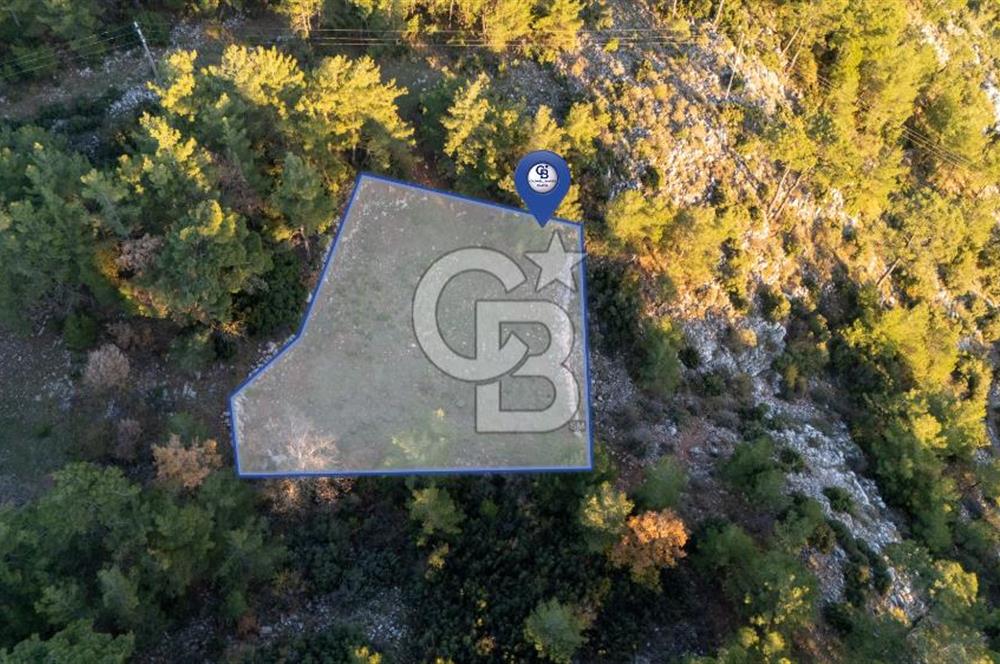 MUĞLA MENTEŞE KUYUCAK KÖYİÇİ İMARLI 1.000 M2 SATILIK