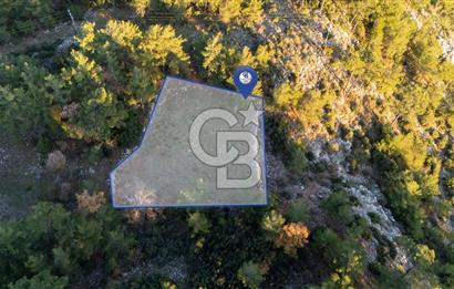 MUĞLA MENTEŞE KUYUCAK KÖYİÇİ İMARLI 1.000 M2 SATILIK