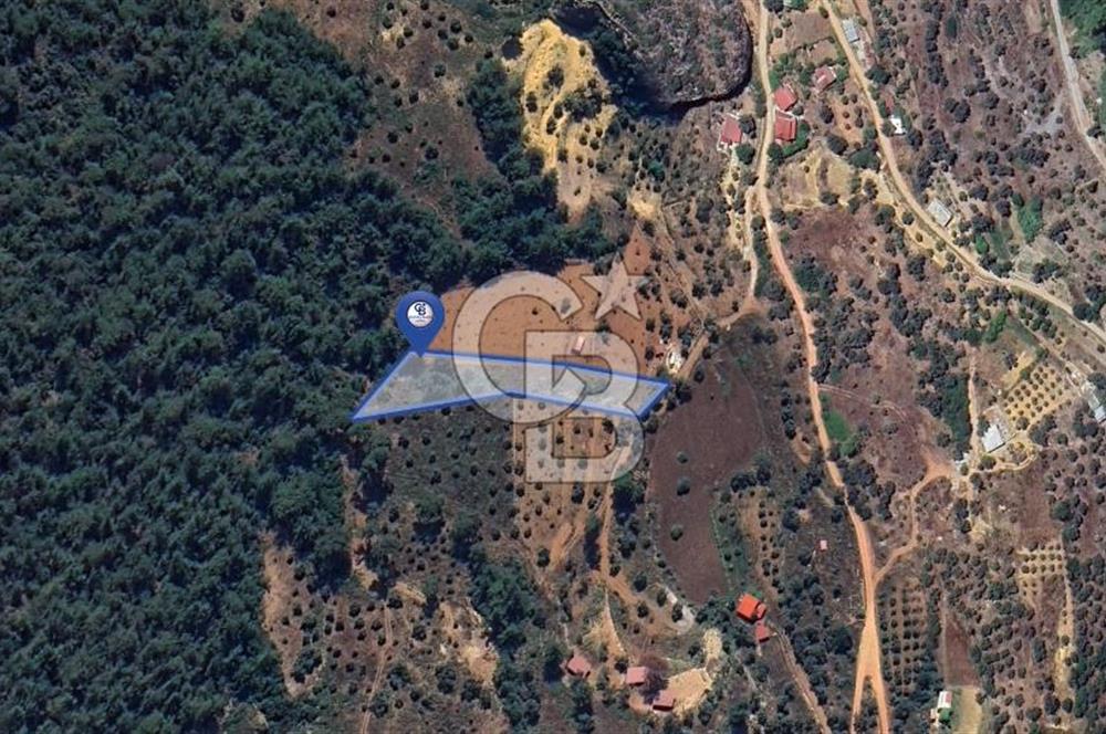 MUĞLA ZEYTİNKÖY'DE 2.178 M2 SATILIK TARLA