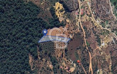 MUĞLA ZEYTİNKÖY'DE 2.178 M2 SATILIK TARLA