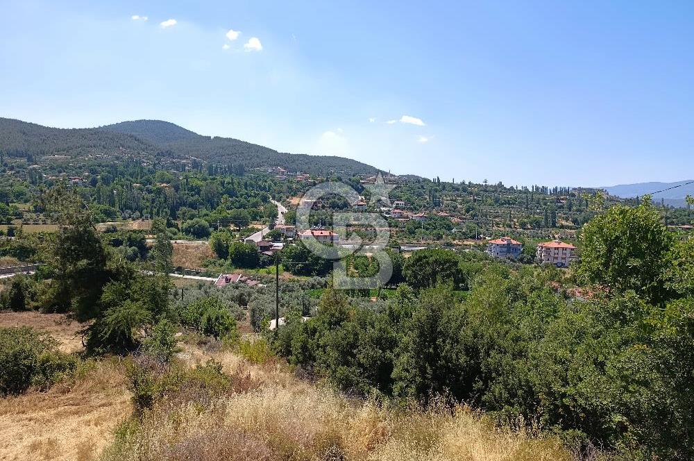 Muğla Kavaklıdere Çayboyunda Satılık 909m2 Arsa