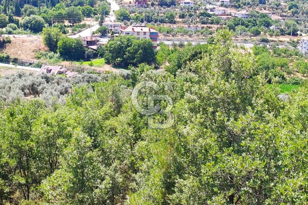 Muğla Kavaklıdere Çayboyunda Satılık 909m2 Arsa