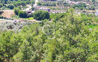 Muğla Kavaklıdere Çayboyunda Satılık 909m2 Arsa