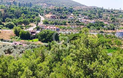 Muğla Kavaklıdere Çayboyunda Satılık 909m2 Arsa