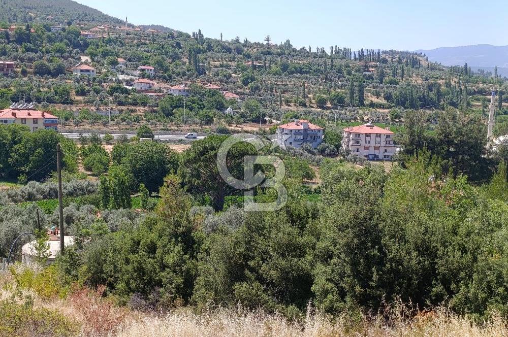 Muğla Kavaklıdere Çayboyunda Satılık 909m2 Arsa