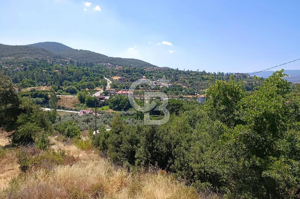 Muğla Kavaklıdere Çayboyunda Satılık 909m2 Arsa