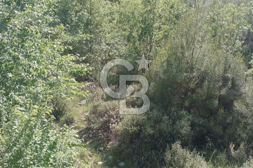 Muğla Kavaklıdere Çayboyunda Satılık 909m2 Arsa