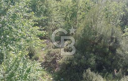 Muğla Kavaklıdere Çayboyunda Satılık 909m2 Arsa