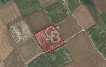 SİLİVRİ DEĞİRMENKÖYDE 599 m² SATILIK FIRSAT ARSA