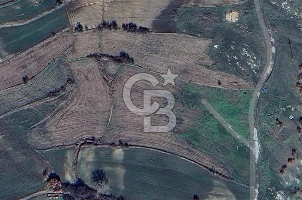 KOFÇAZ SATILIK TOKİ KARŞISI MÜKEMMEL KONUMLU SON 12 PARSEL