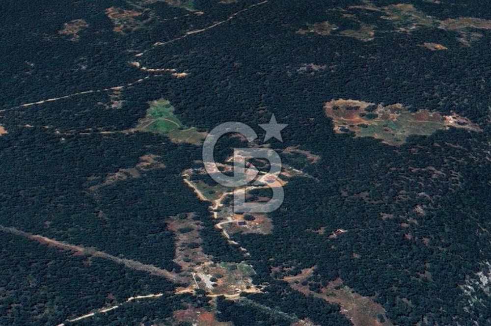 MUĞLA MENTEŞE KUYUCAK'ta 5.722 M2 SATILIK
