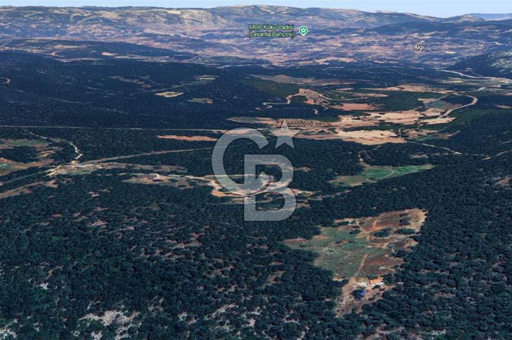 MUĞLA MENTEŞE KUYUCAK'ta 5.722 M2 SATILIK