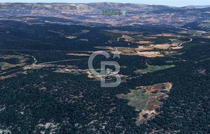 MUĞLA MENTEŞE KUYUCAK'ta 5.722 M2 SATILIK