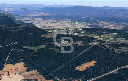 MUĞLA MENTEŞE KUYUCAK'ta 5.722 M2 SATILIK