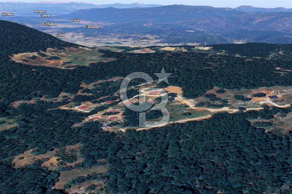 MUĞLA MENTEŞE KUYUCAK'ta 5.722 M2 SATILIK
