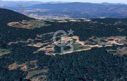 MUĞLA MENTEŞE KUYUCAK'ta 5.722 M2 SATILIK