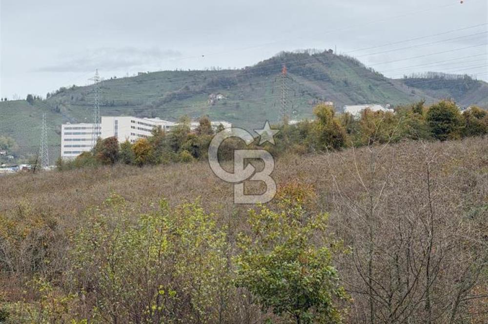 Cumhuriyet mahallesinde uygun 1+1 fırsatı 