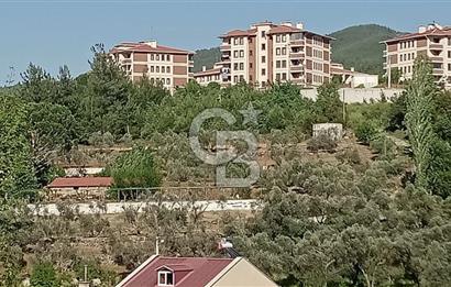 Muğla Kavaklıdere Çayboyunda Satılık 909m2 Arsa
