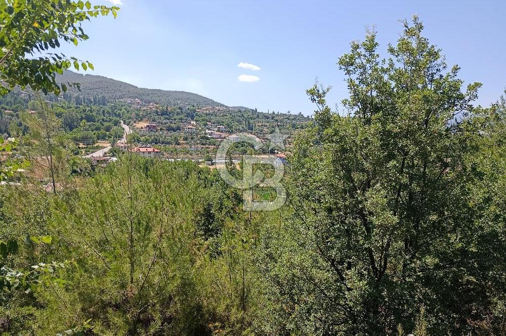 Muğla Kavaklıdere Çayboyunda Satılık 909m2 Arsa