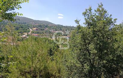 Muğla Kavaklıdere Çayboyunda Satılık 909m2 Arsa