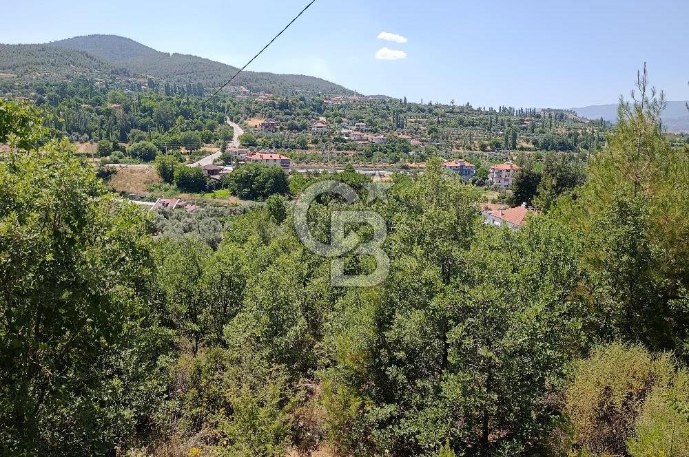 Muğla Kavaklıdere Çayboyunda Satılık 909m2 Arsa