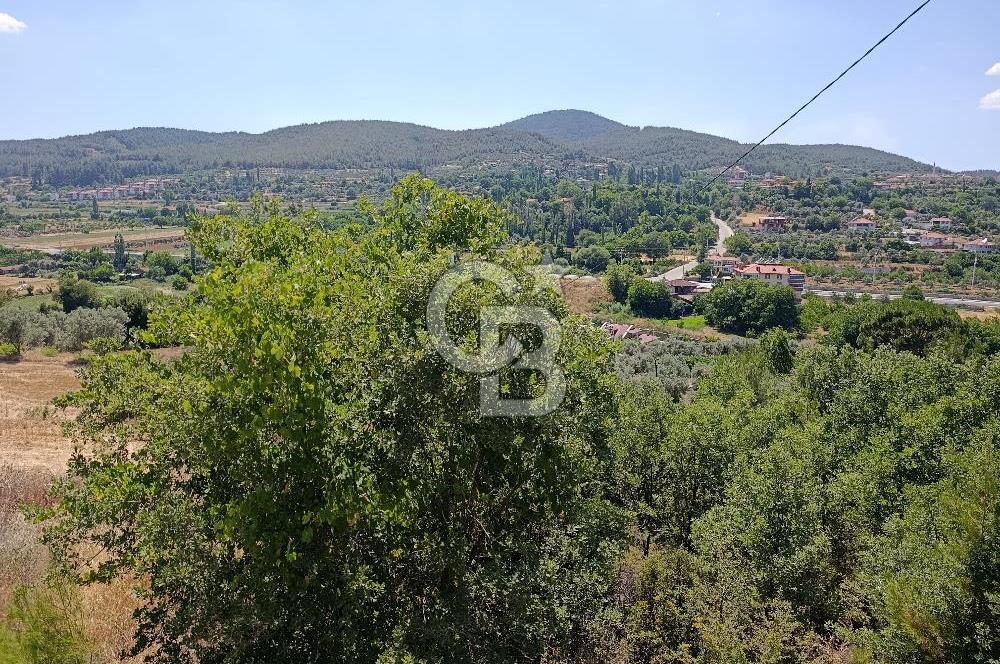 Muğla Kavaklıdere Çayboyunda Satılık 909m2 Arsa