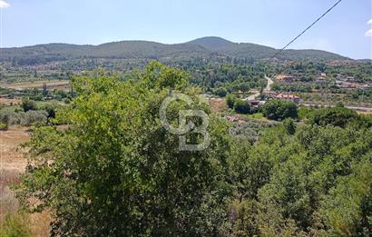 Muğla Kavaklıdere Çayboyunda Satılık 909m2 Arsa