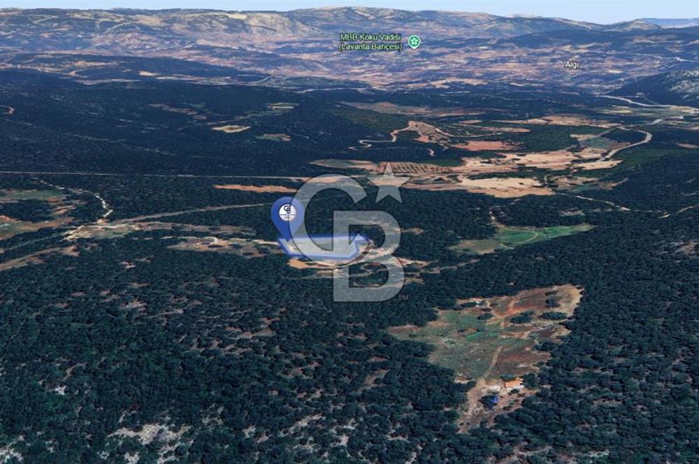 MUĞLA MENTEŞE KUYUCAK'ta 5.722 M2 SATILIK