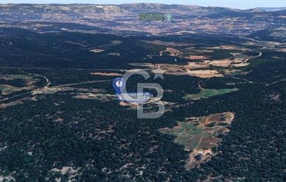 MUĞLA MENTEŞE KUYUCAK'ta 5.722 M2 SATILIK