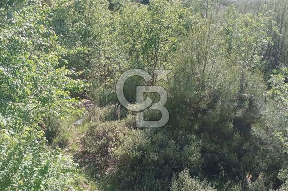 Muğla Kavaklıdere Çayboyunda Satılık 909m2 Arsa