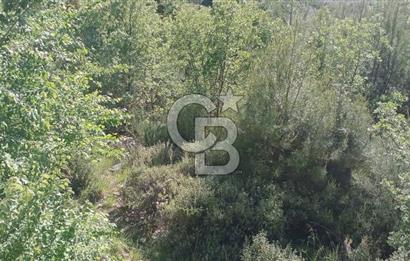 Muğla Kavaklıdere Çayboyunda Satılık 909m2 Arsa