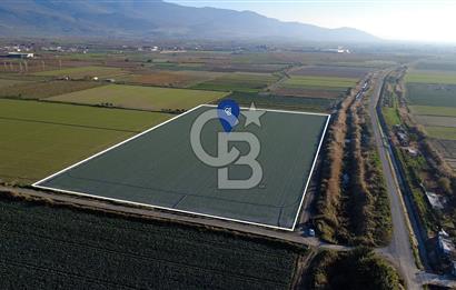 CB ODAK'TAN MENEMEN ÇAVUŞKÖYDE 32.563 m² SATILIK TARLA