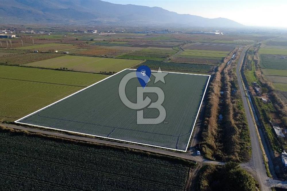 CB ODAK'TAN MENEMEN ÇAVUŞKÖYDE 32.563 m² SATILIK TARLA