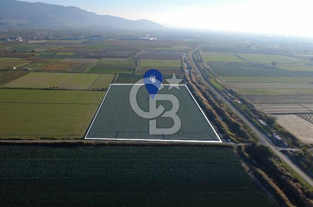 CB ODAK'TAN MENEMEN ÇAVUŞKÖYDE 32.563 m² SATILIK TARLA