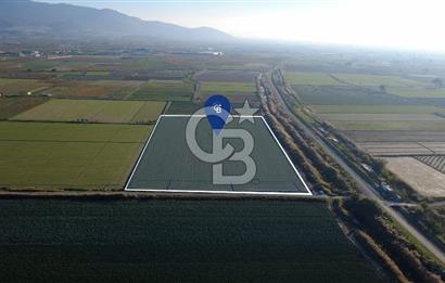 CB ODAK'TAN MENEMEN ÇAVUŞKÖYDE 32.563 m² SATILIK TARLA